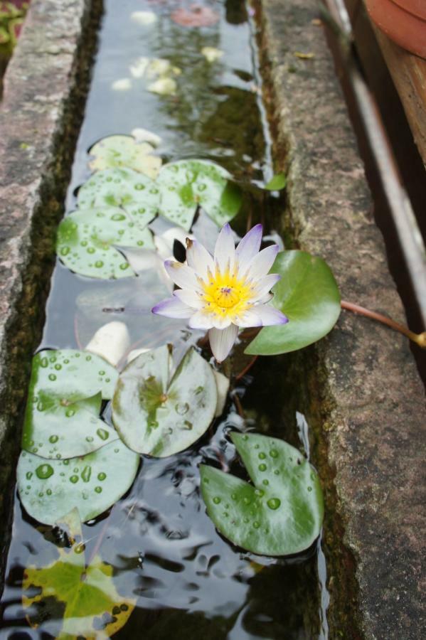 Cheng-Ping Hot Spring Inn Wenquan Εξωτερικό φωτογραφία
